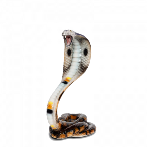 Cobra Png Picture (gray, lavender, white, silver)