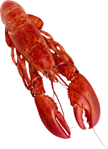 Lobster Png Clipart (black)