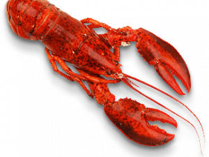 Lobster Png Photos 300X225 (black)