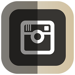 Social Instagram Free Transparent Png Icon Download (gray, silver, black, white)