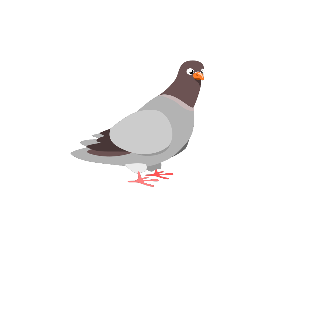 Rock Dove Png Isolated Hd (silver, gray, black)