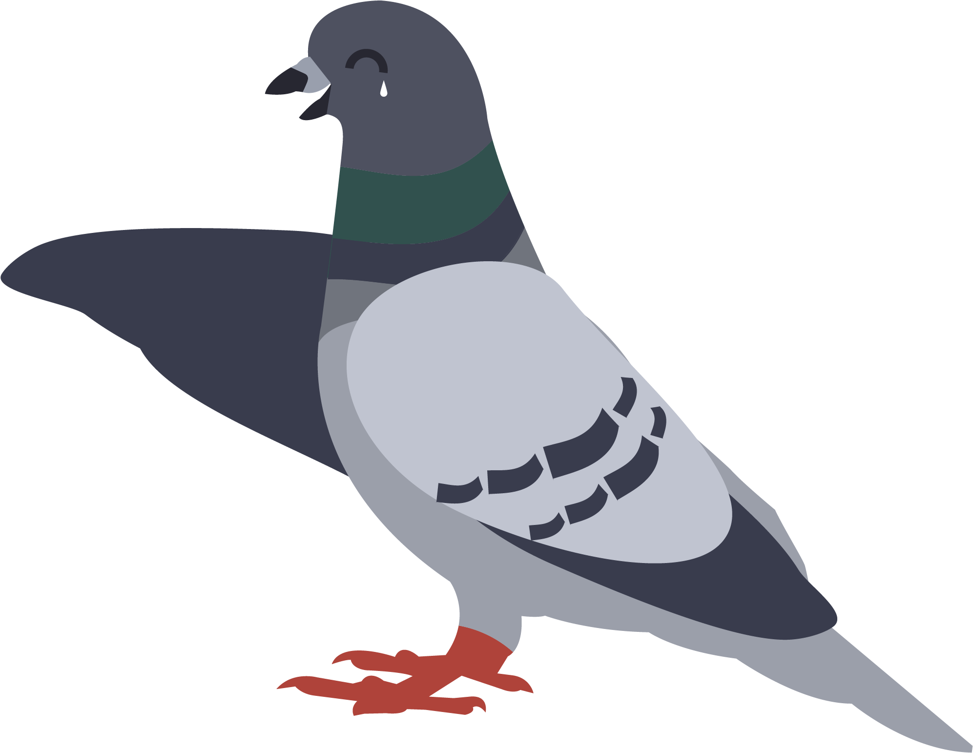 Rock Dove Png Photo (gray, black, silver, indigo, teal)