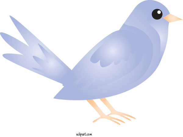 Rock Dove Png Picture (silver, black, white)