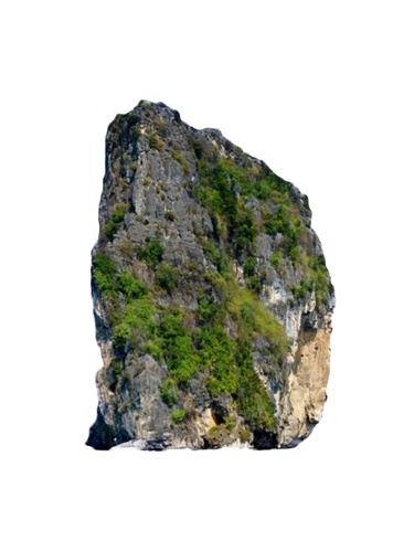 Rock Transparent Background (black)