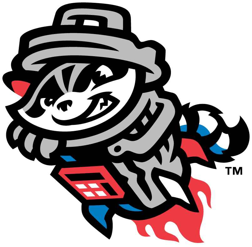 Rocket City Trash Pandas Png Hd (silver, chocolate, black, white)