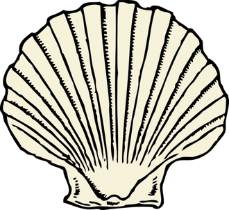 Cockle Png Picture (beige, black)