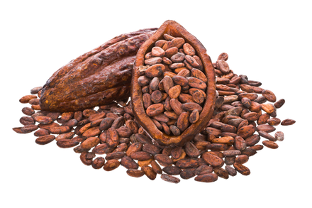 Cocoa Beans Png Image (gray, black, olive)