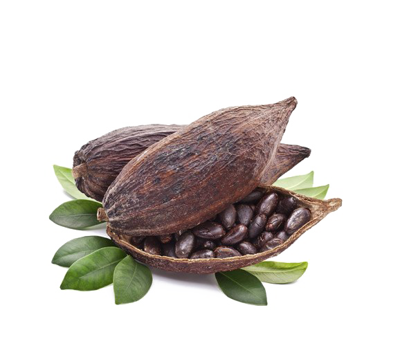 Cocoa Beans Transparent Png (black, white, gray)