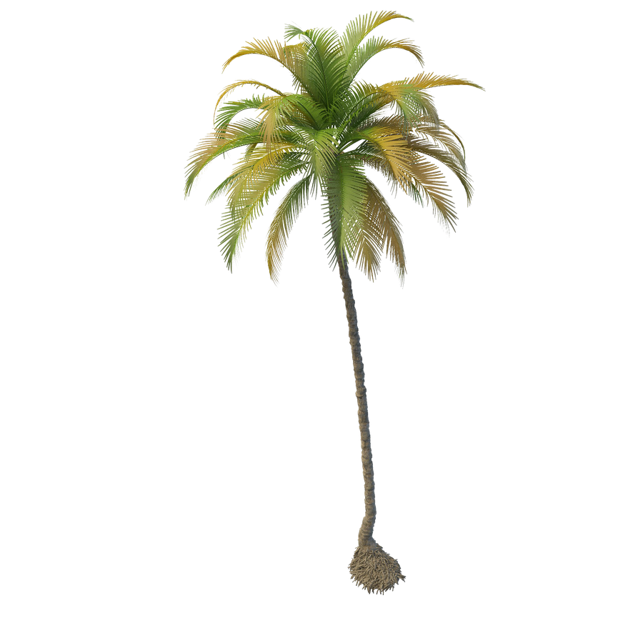 Coconut Tree Png File (black)