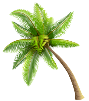 Coconut Tree Png Transparent Image (black, green)