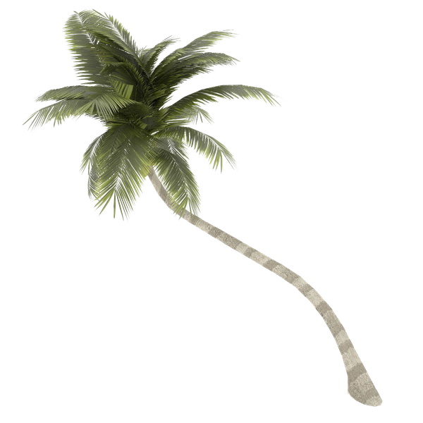 Coconut Tree Transparent Background (gray, black, green)