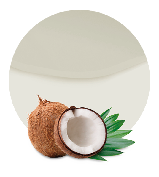 Coconut Milk Png Isolated Photo (beige, white, silver)