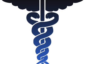 Doctor Symbol Caduceus Free Download Png 300X225 (black)