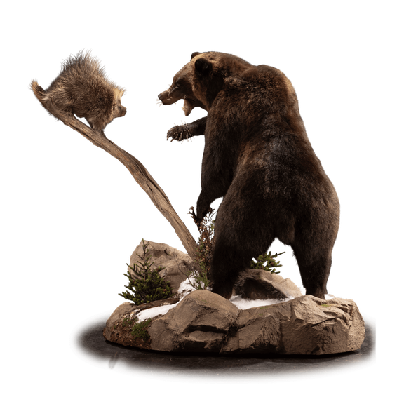 Kodiak Brown Bear Png Clipart (black)