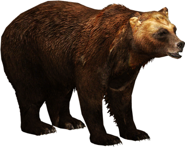 Kodiak Brown Bear Png Free Download (black)