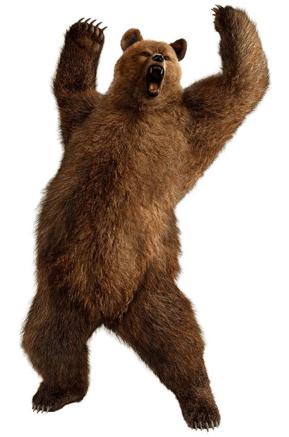 Kodiak Brown Bear Png Hd Isolated (gray)