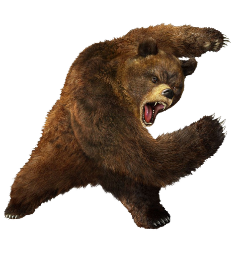 Kodiak Brown Bear Png Image (black)