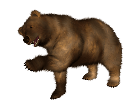 Kodiak Brown Bear Png Pic (gray)