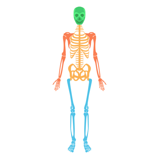 Body Png Image (gray)