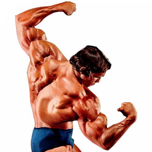 Bodybuilding Png Image (white, black)