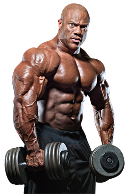 Bodybuilding Png Transparent (black)