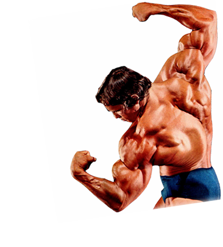 Bodybuilding Transparent Background (white, black, navy)