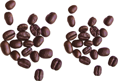 Coffee Falling Beans Png (black)