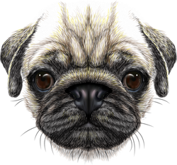 Dog Face Transparent Png (black, white)