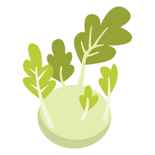 Kohlrabi Png Clipart (olive, silver, beige, black, gold)