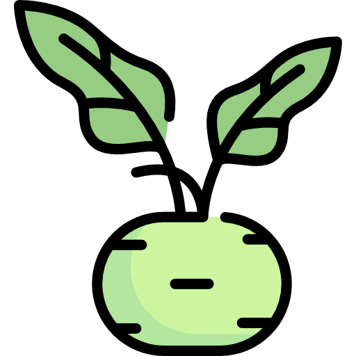 Kohlrabi Png File (white, silver, mint, black)