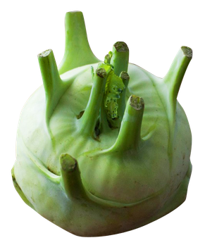 Kohlrabi Png Free Download (white, beige, black)