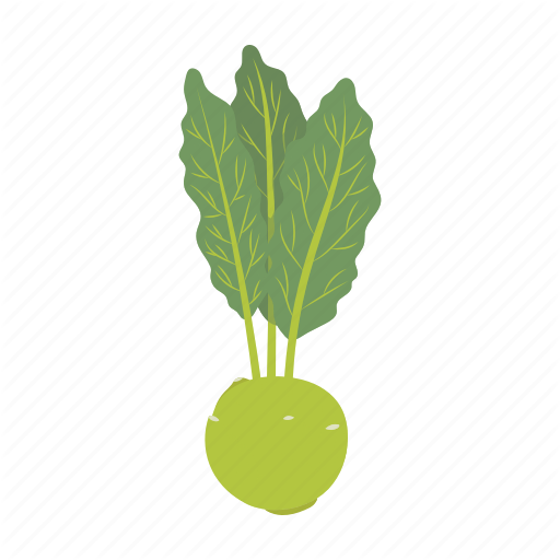 Kohlrabi Png Picture (indigo, black, gold)