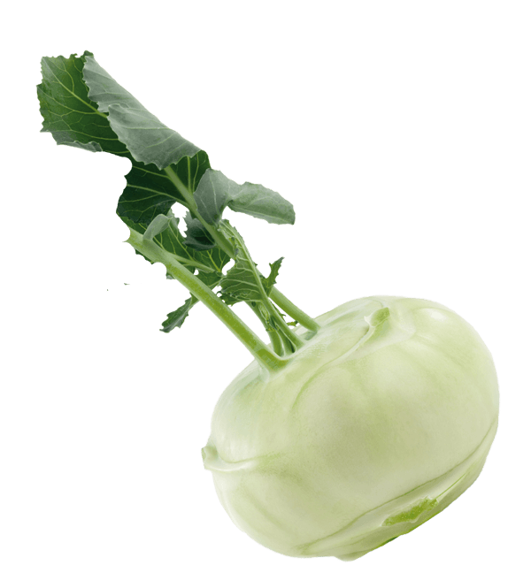 Kohlrabi Png Transparent Image (gray)