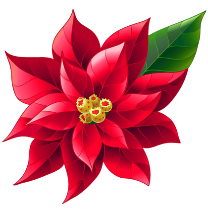 Poinsettia Png Photo (black, red, maroon)