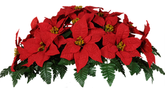 Poinsettia Png Transparent Image (black, maroon)