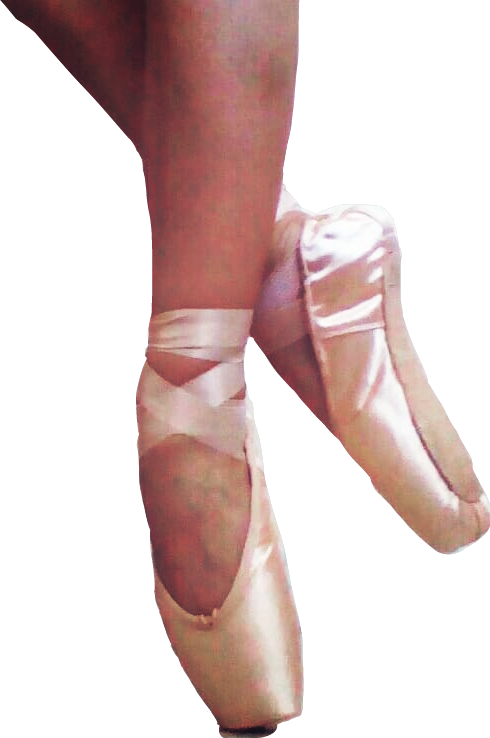 Pointe Shoes Png Clipart (black, salmon, gray)