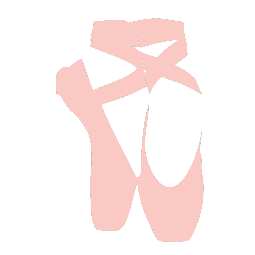 Pointe Shoes Png (black, pink)