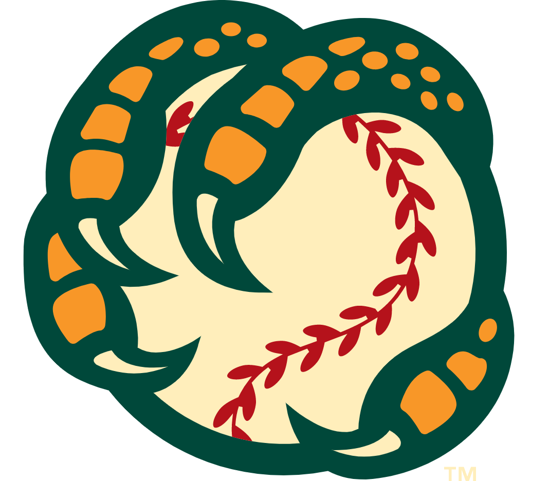 Boise Hawks Png (white, beige, orange, green)