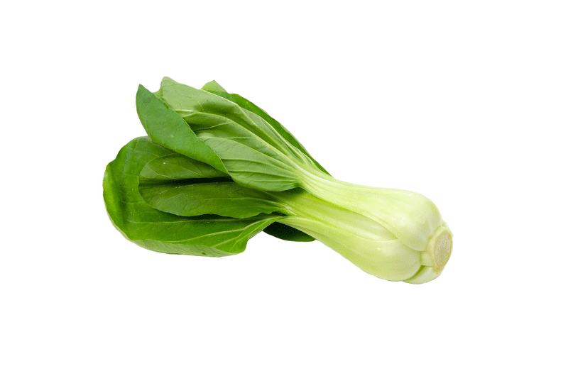 Bok Choy Cabbage Png Cutout (olive, gray, white)