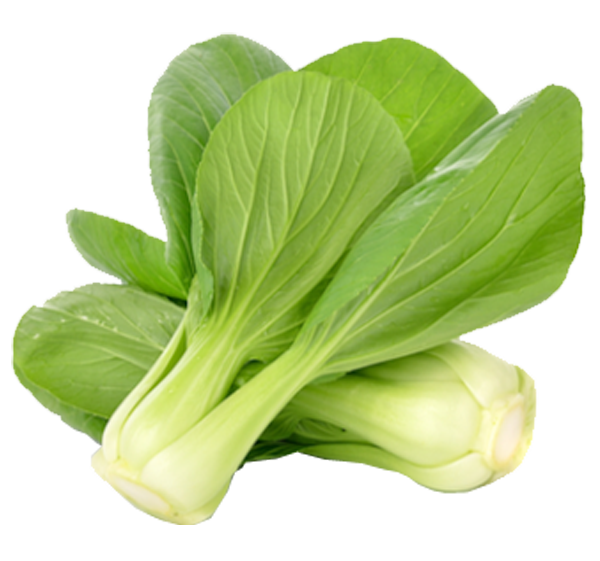 Bok Choy Cabbage Png File (mint, beige, white)