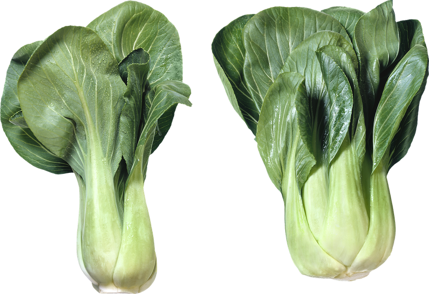 Bok Choy Cabbage Png Image (olive, black, gray)