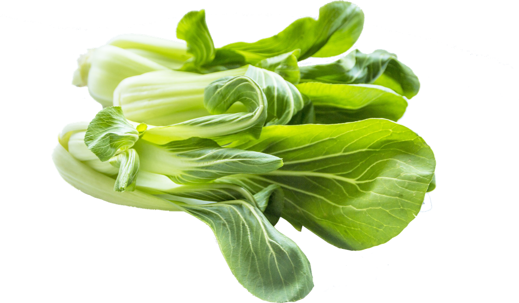 Bok Choy Cabbage Png Images (black)