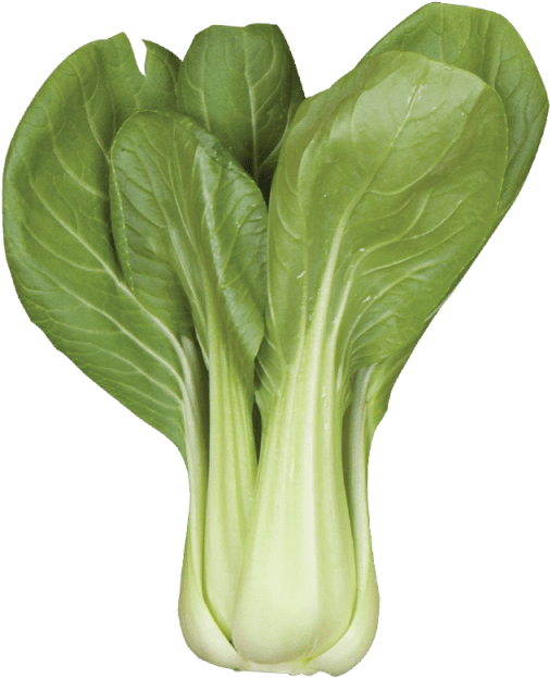 Bok Choy Cabbage Png Photo (beige, black, olive, silver)