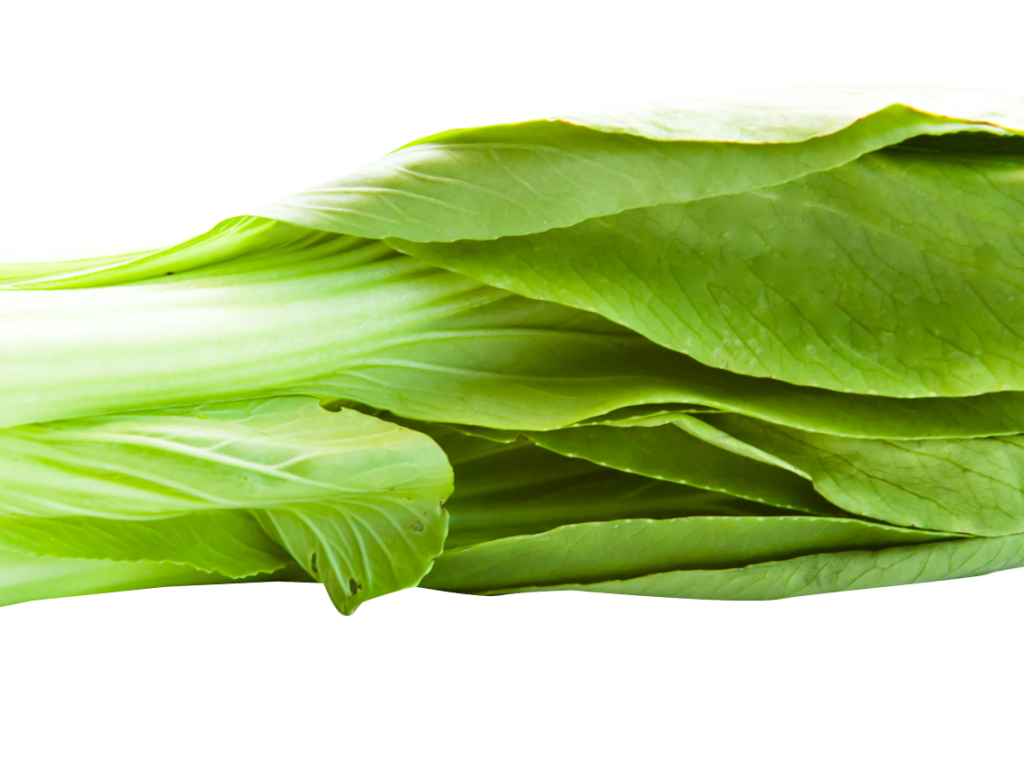 Bok Choy Cabbage Png Photos (black, olive, white)