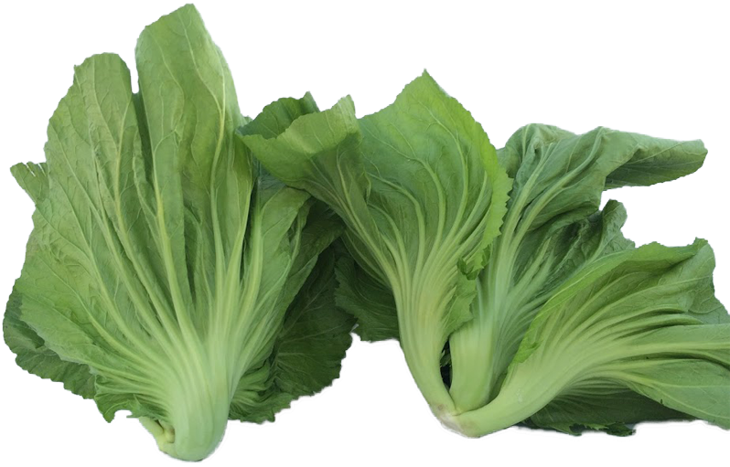 Bok Choy Cabbage Png Picture (black, green, gray)