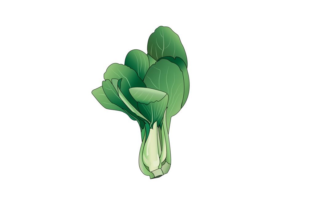 Bok Choy Cabbage Png (beige, black, gray)