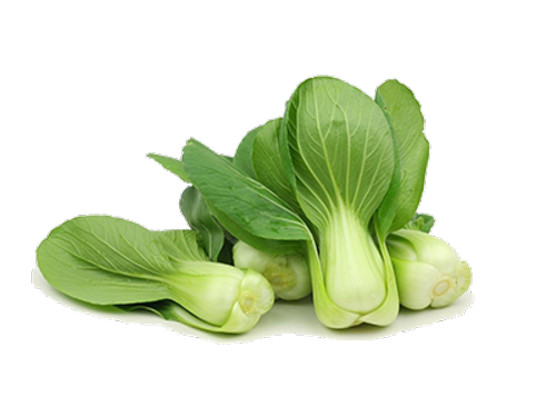 Bok Choy Cabbage (indigo, black, gray)