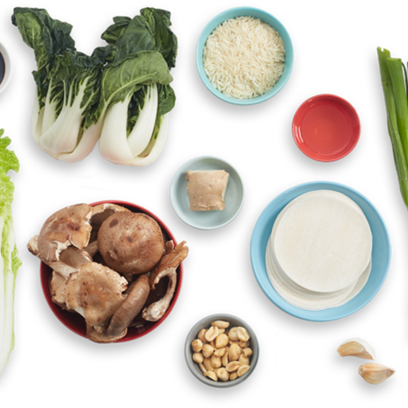 Bok Choy Chinese Png Cutout (beige, black)