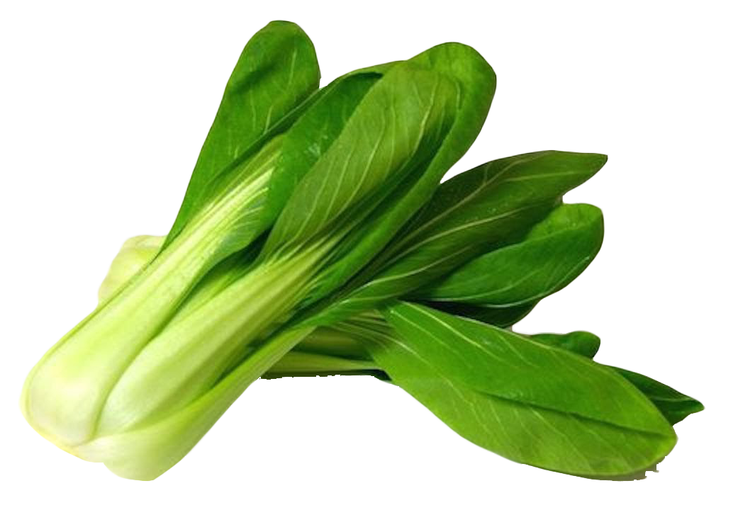 Bok Choy Chinese Png File (olive, white)