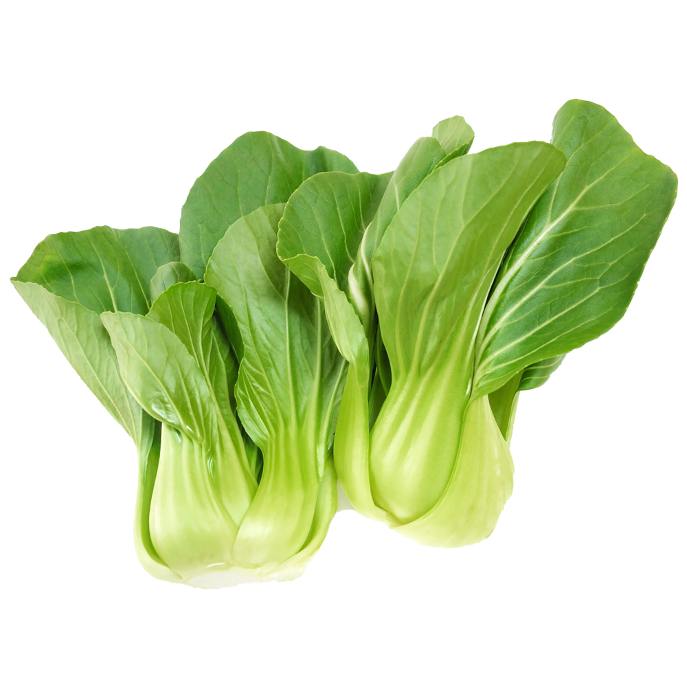 Bok Choy Chinese Png Image (beige, white)